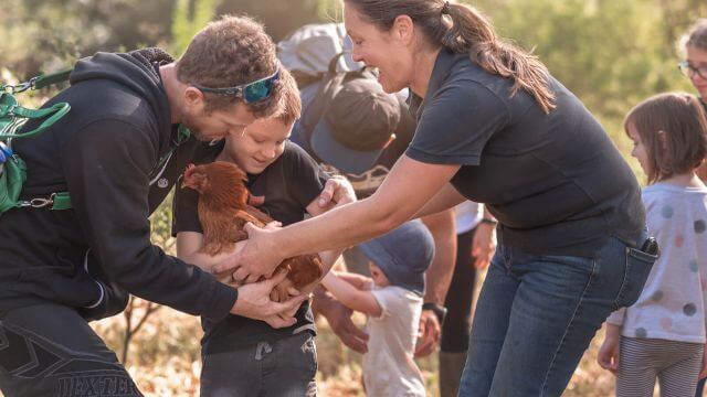 Grace Springs Farms - Kulnura